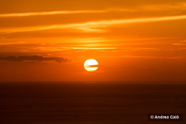 IMG_4281