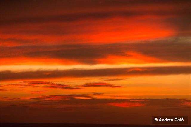 IMG_4296